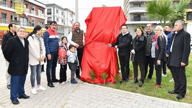Haber